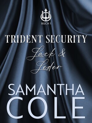 cover image of Trident Security